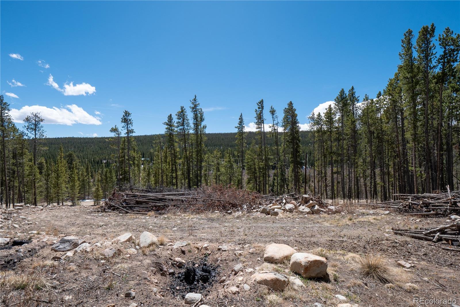 3149 Nugget Road Fairplay CO 80440