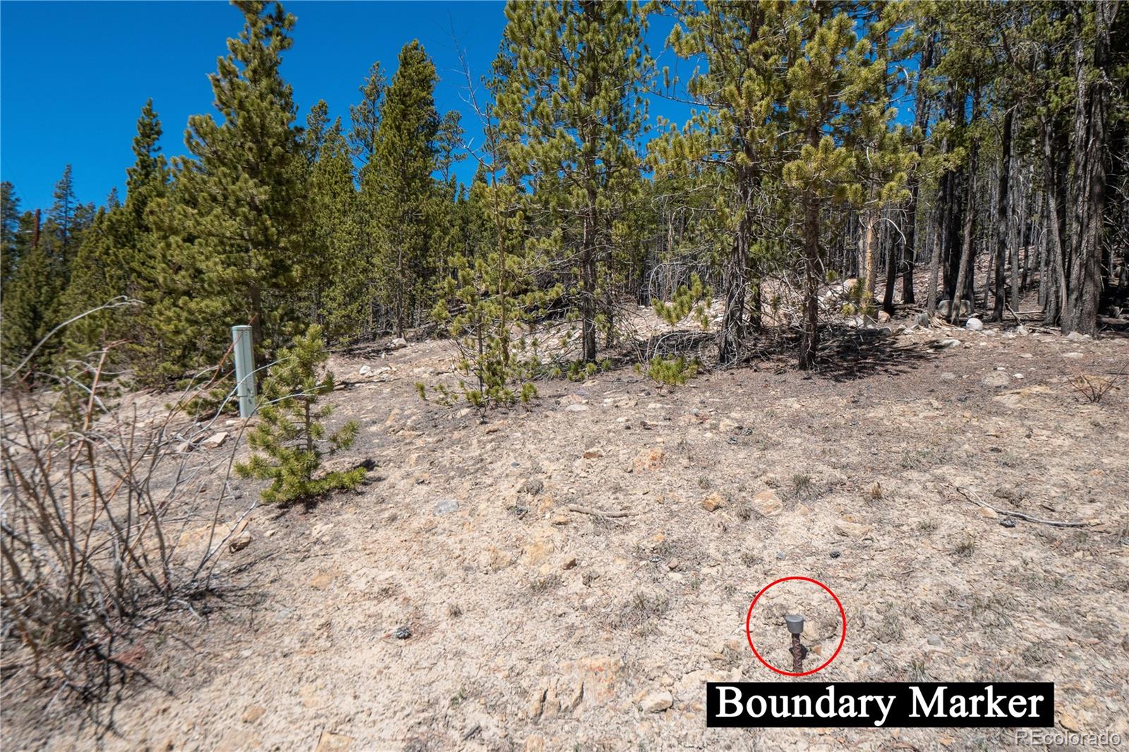 3149 Nugget Road Fairplay CO 80440