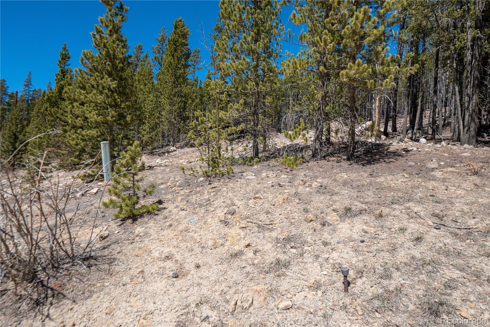 3149 Nugget Road Fairplay CO 80440