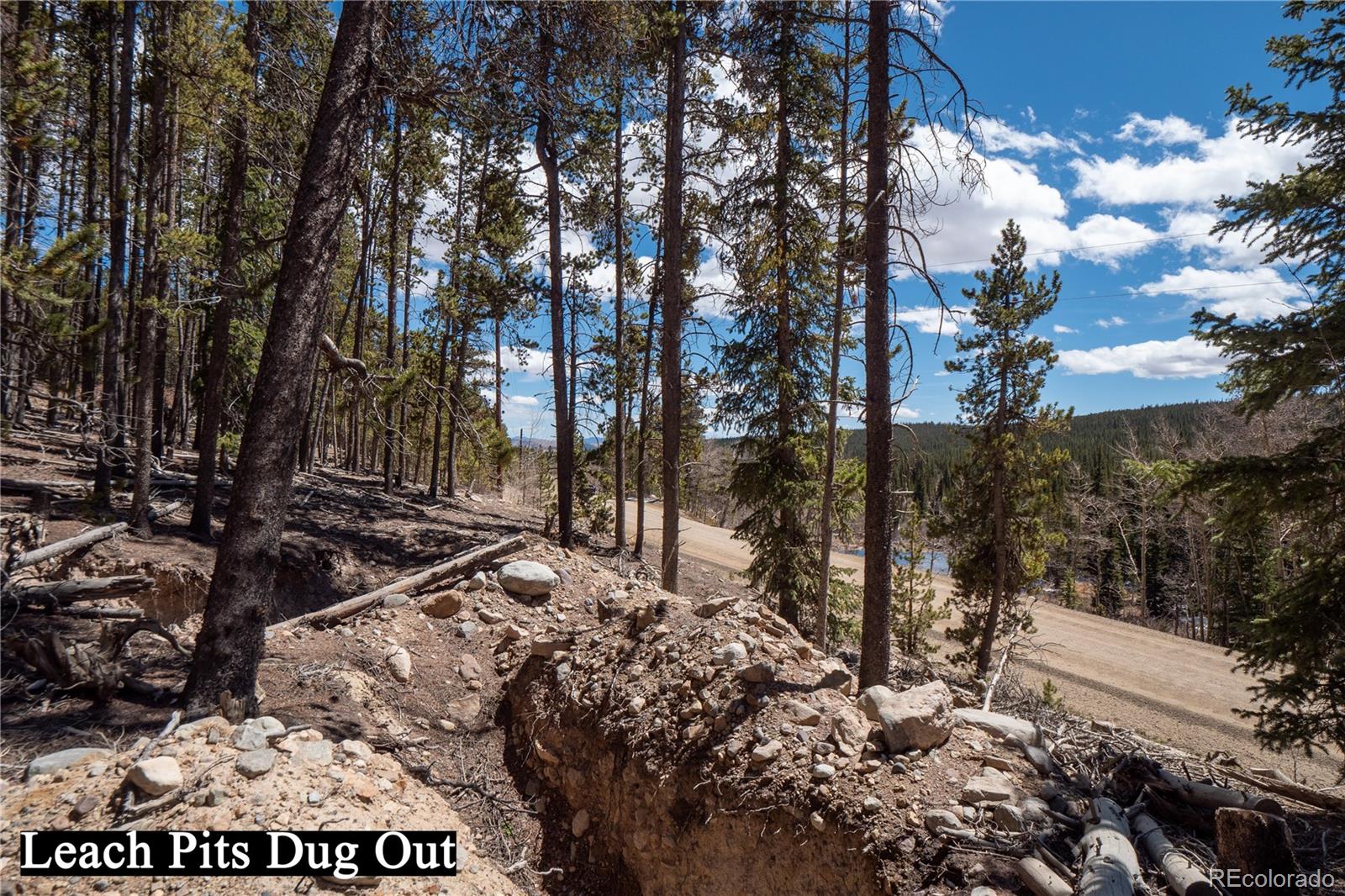 3149 Nugget Road Fairplay CO 80440