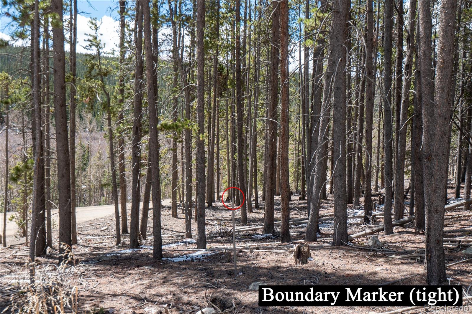 3149 Nugget Road Fairplay CO 80440