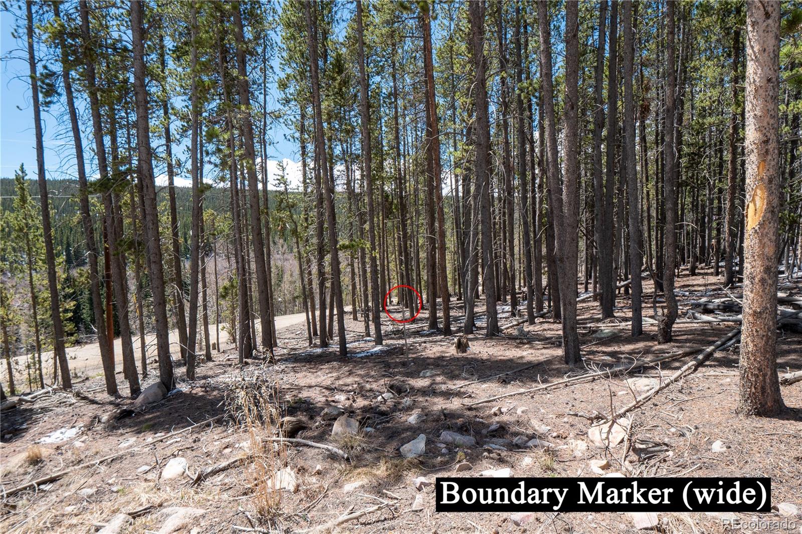 3149 Nugget Road Fairplay CO 80440