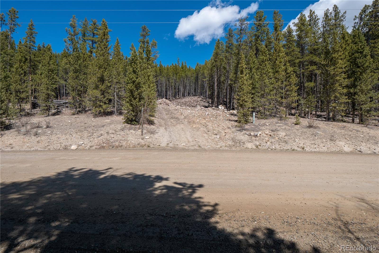 3149 Nugget Road Fairplay CO 80440