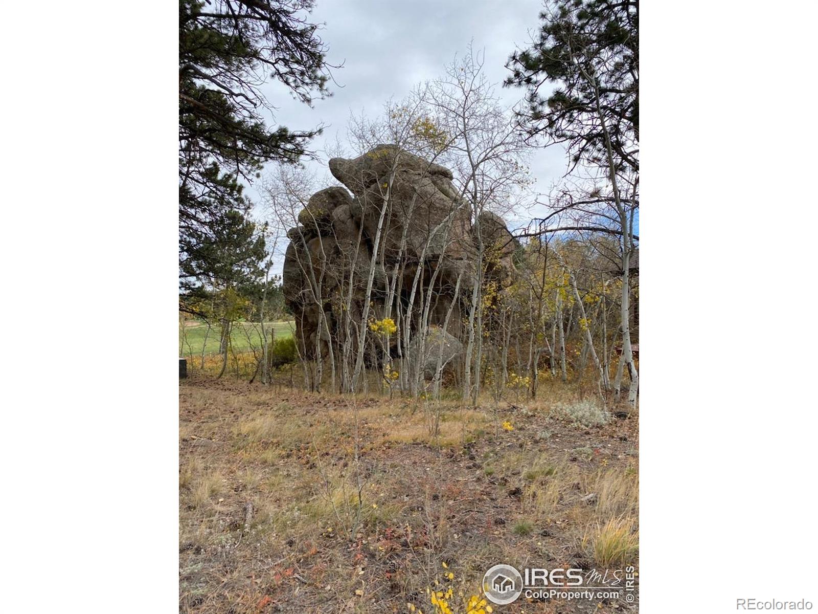 0 Northwoods Drive Red Feather Lakes CO 80545