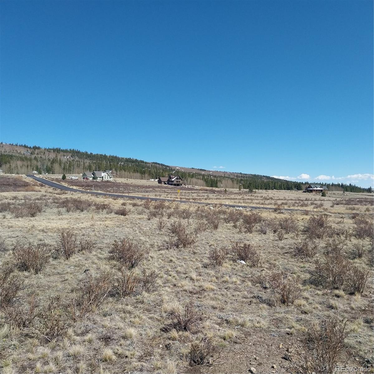 64 Glissade Trail Alma CO 80420