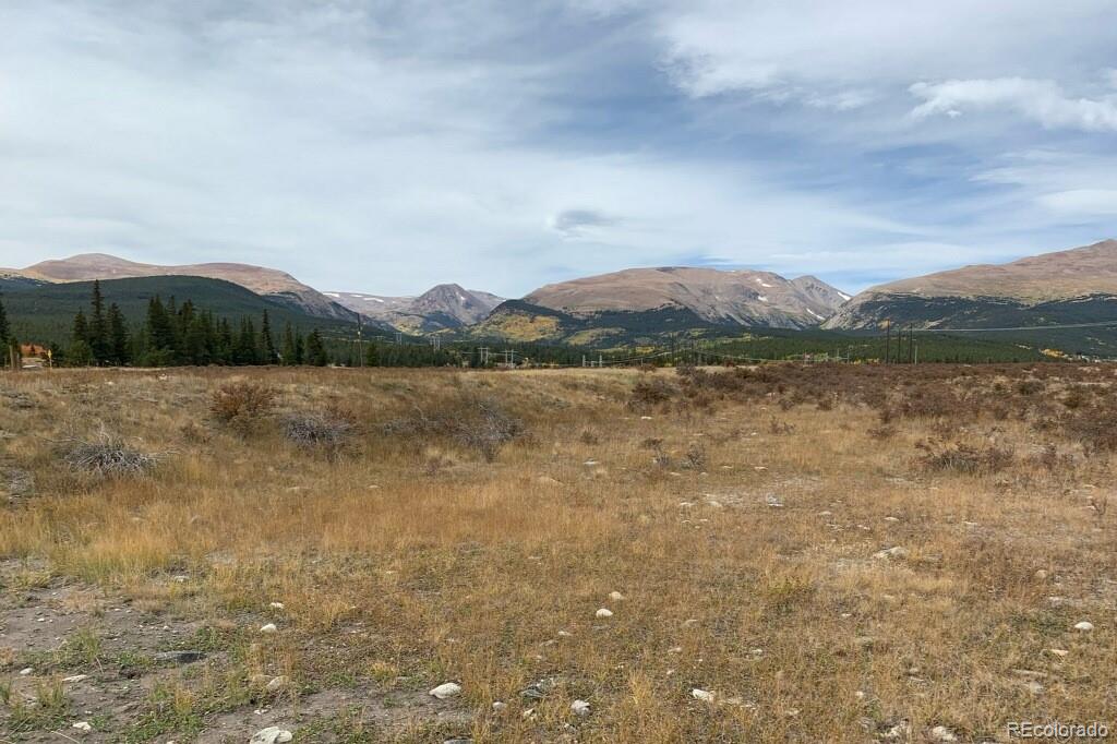 64 Glissade Trail Alma CO 80420