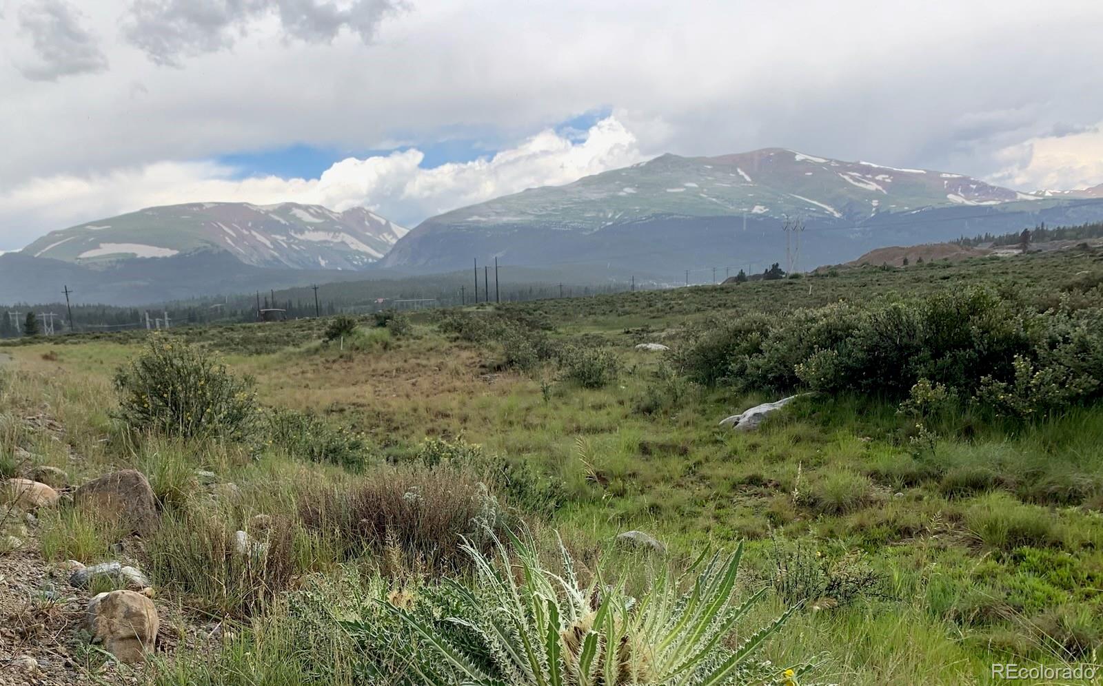 64 Glissade Trail Alma CO 80420