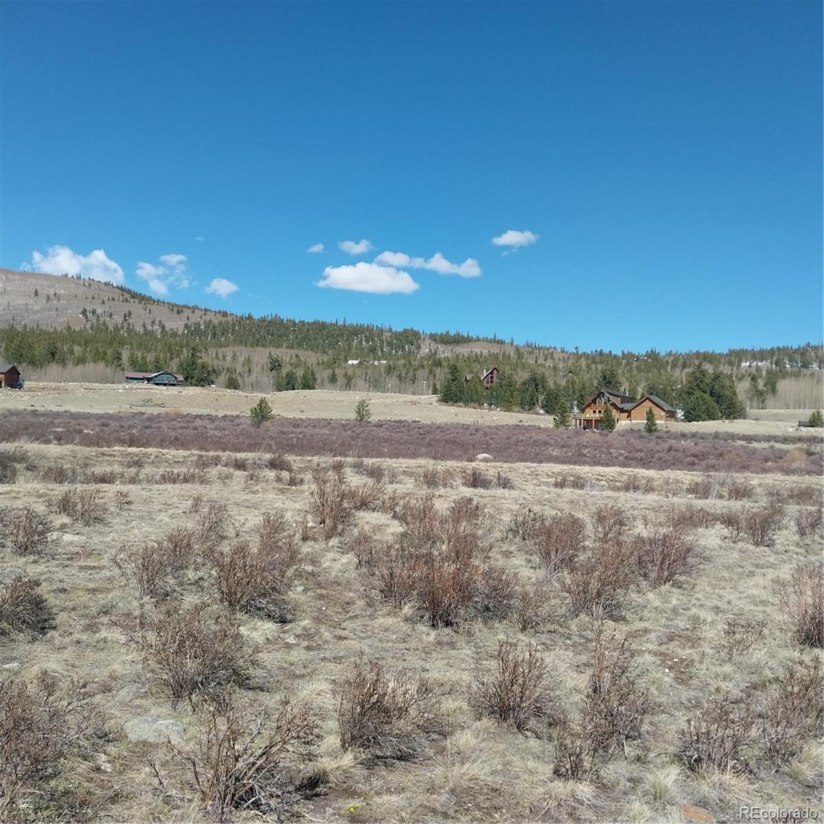 64 Glissade Trail Alma CO 80420
