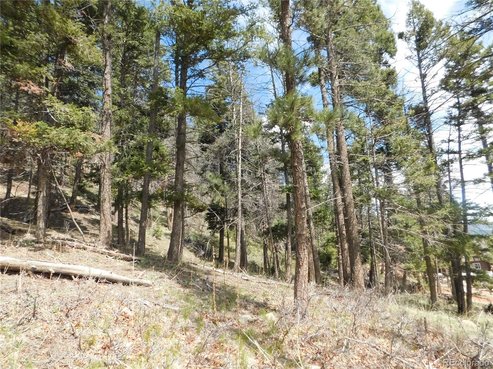 13520 Woodmoor West Drive Larkspur CO 80118