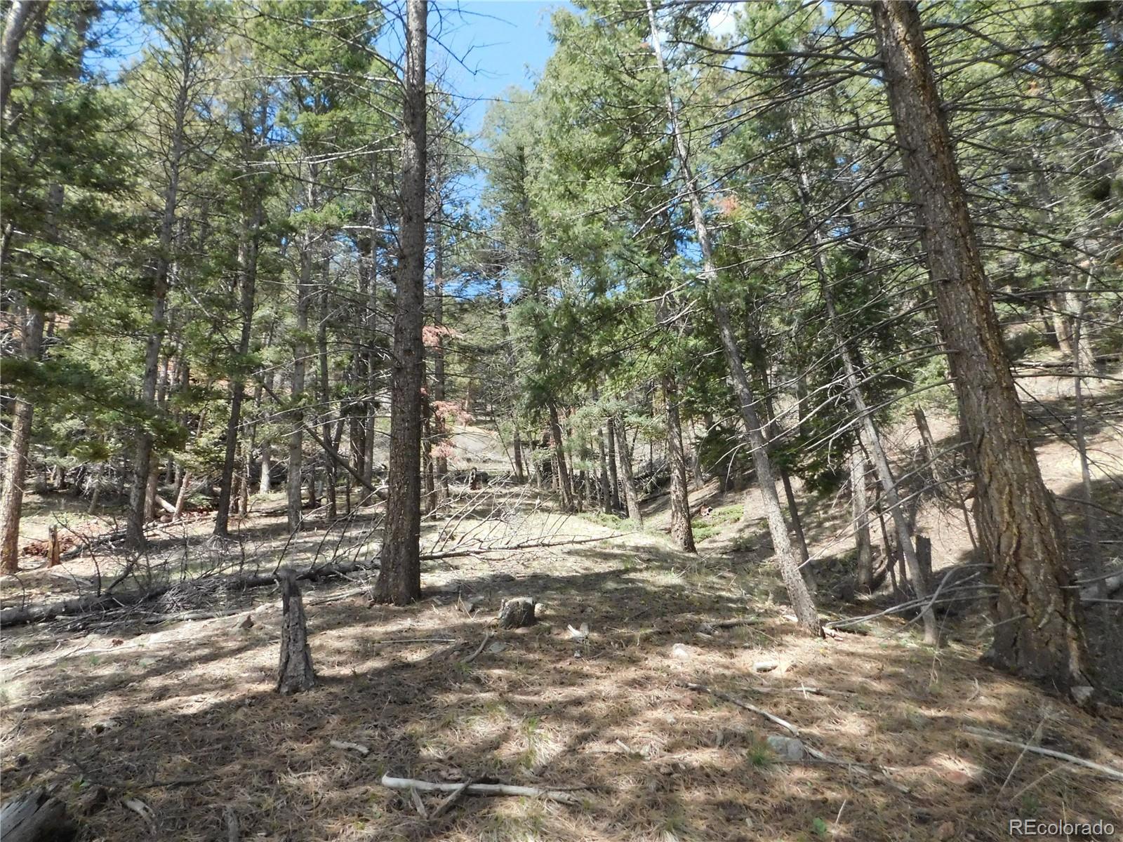 13520 Woodmoor West Drive Larkspur CO 80118