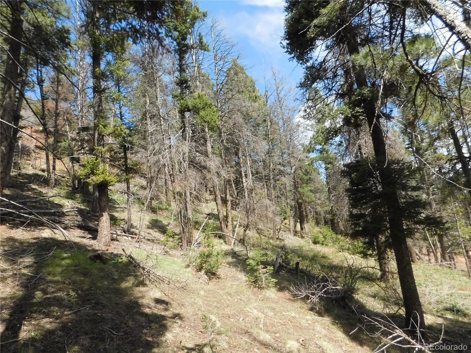 13520 Woodmoor West Drive Larkspur CO 80118