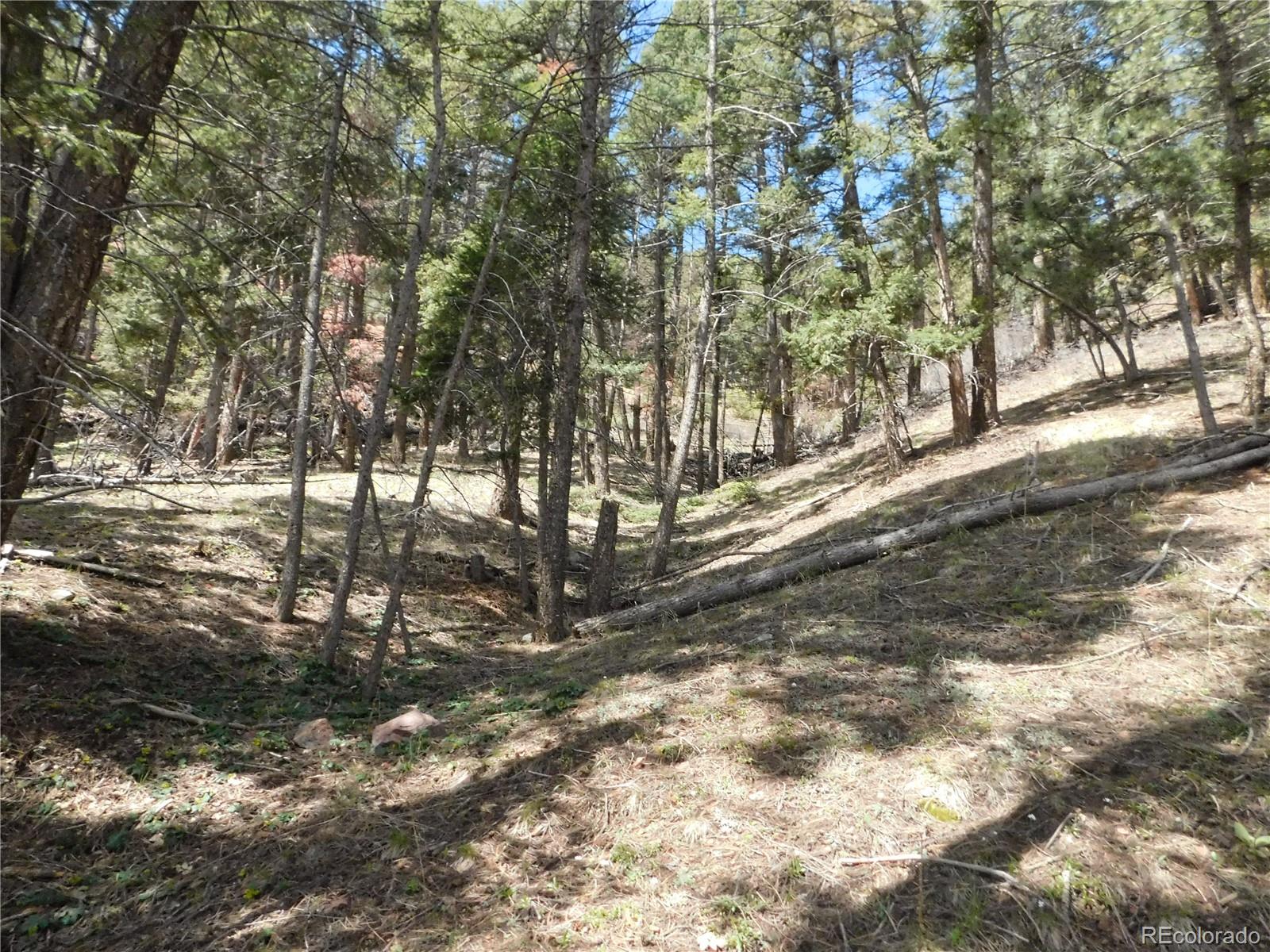 13520 Woodmoor West Drive Larkspur CO 80118