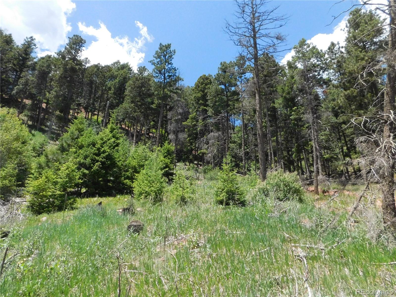 13520 Woodmoor West Drive Larkspur CO 80118