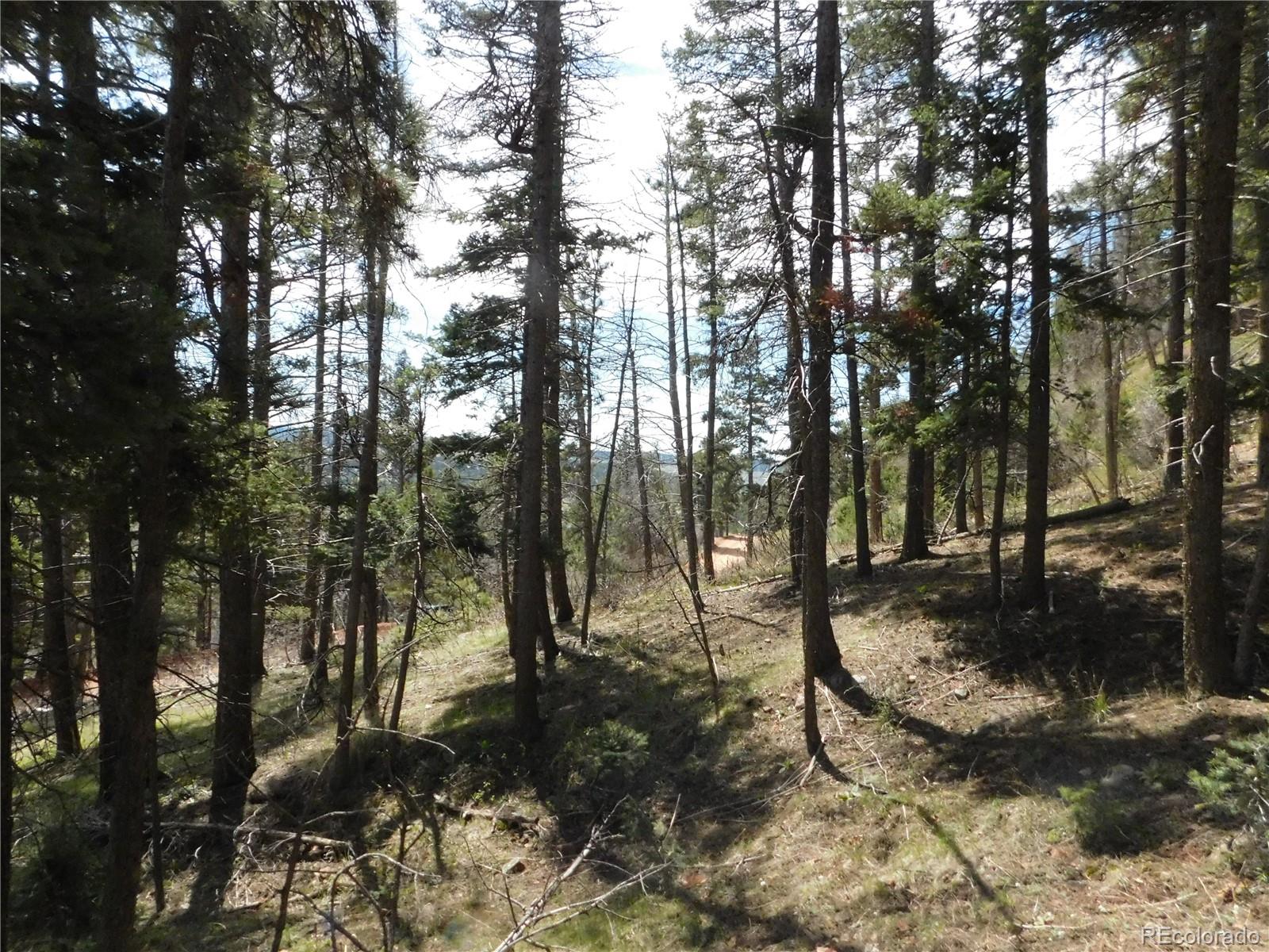 13520 Woodmoor West Drive Larkspur CO 80118