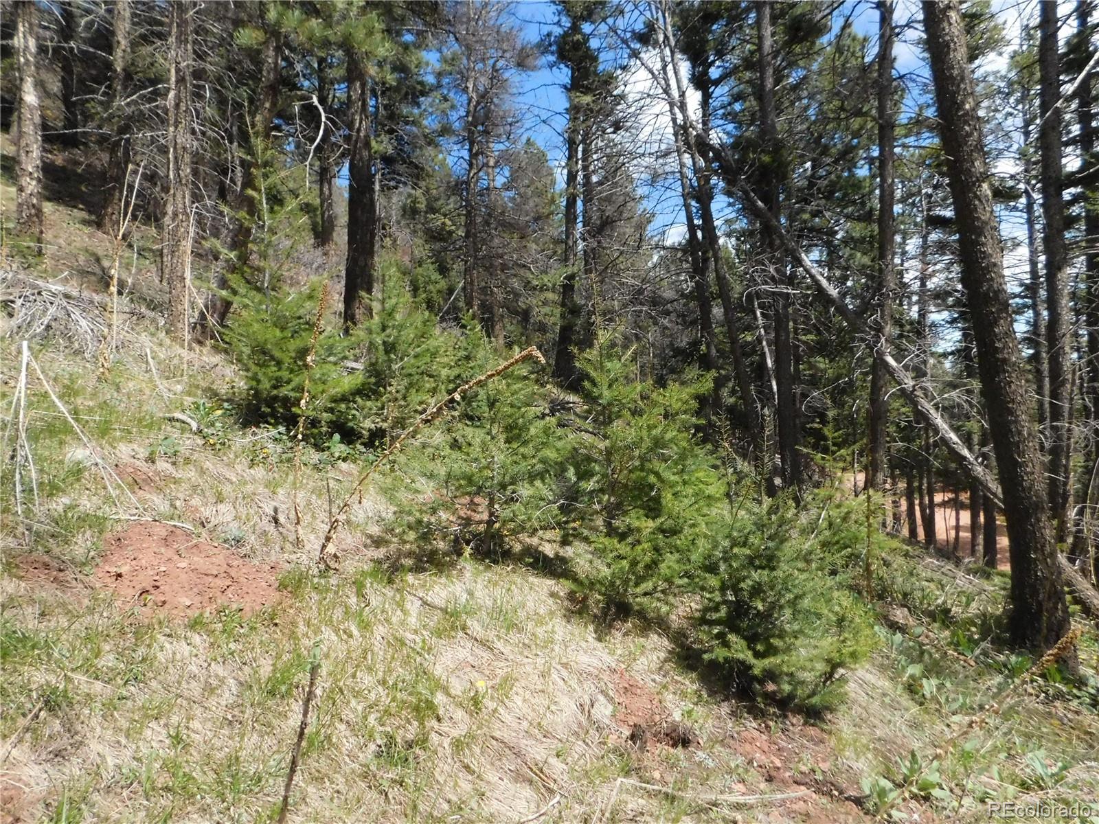 13520 Woodmoor West Drive Larkspur CO 80118