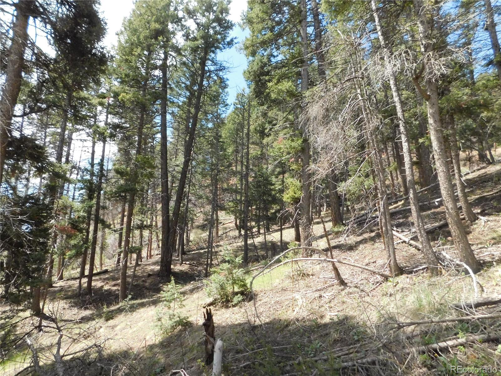 13520 Woodmoor West Drive Larkspur CO 80118