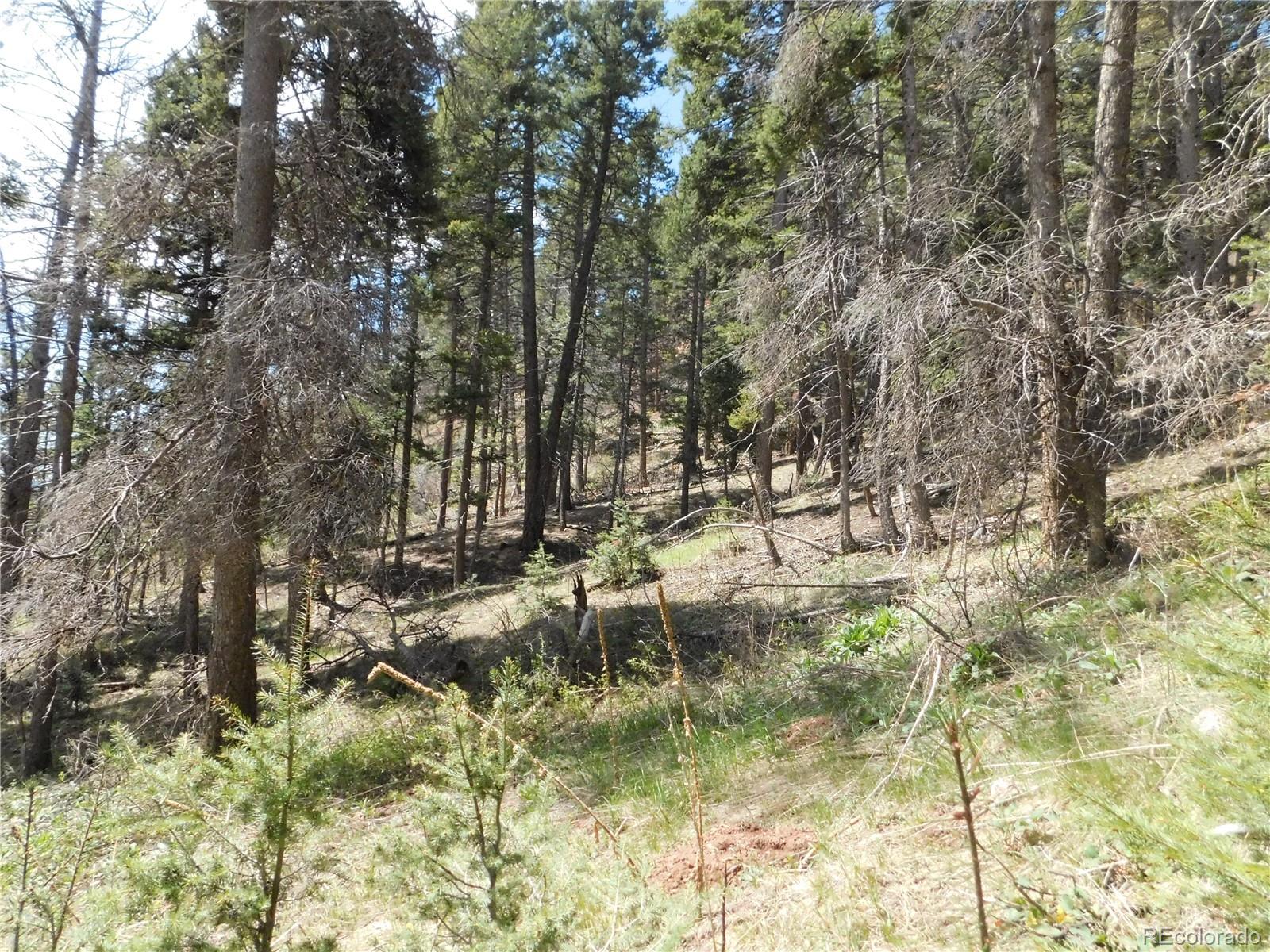 13520 Woodmoor West Drive Larkspur CO 80118