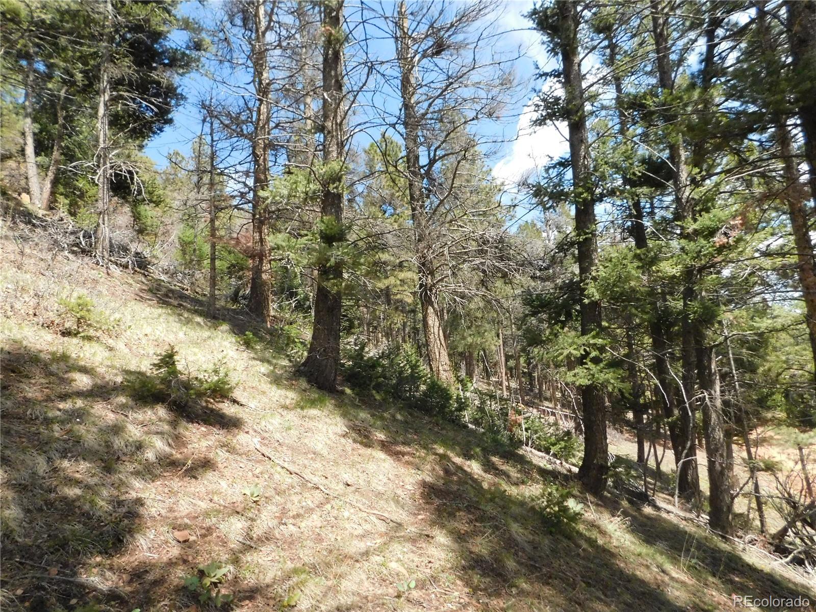 13520 Woodmoor West Drive Larkspur CO 80118