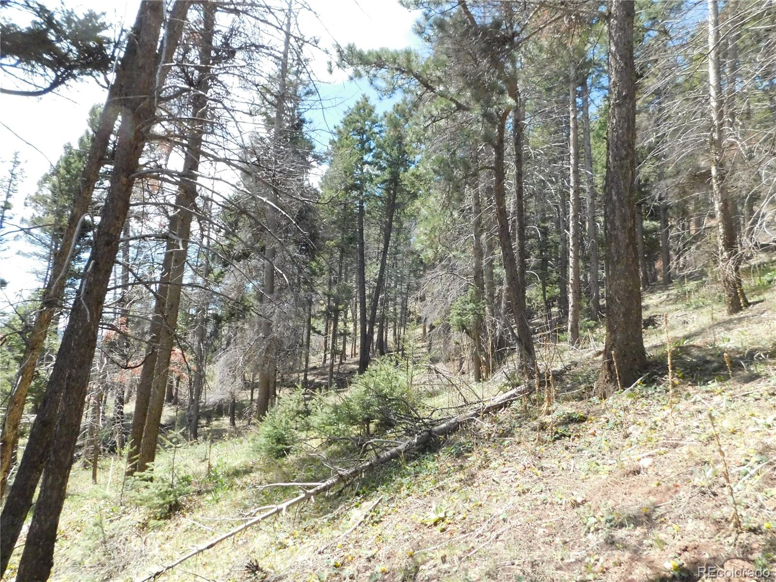 13520 Woodmoor West Drive Larkspur CO 80118