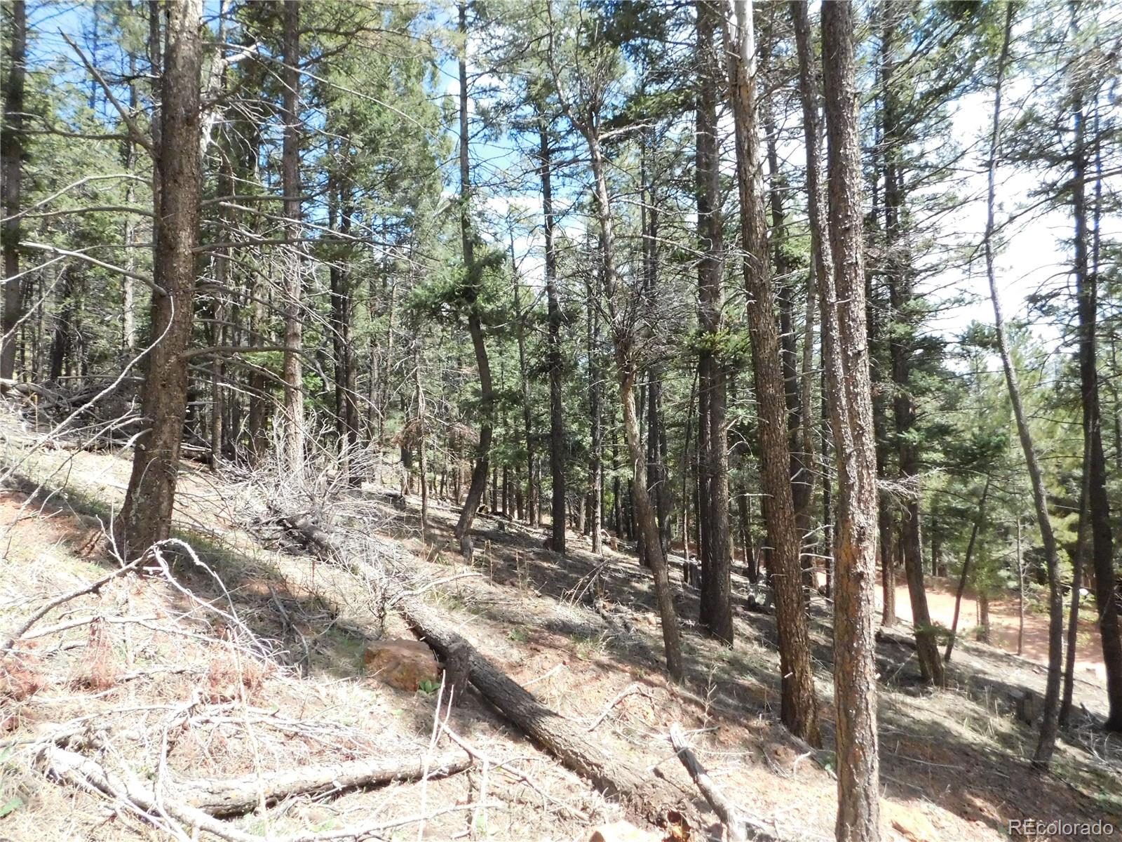 13520 Woodmoor West Drive Larkspur CO 80118