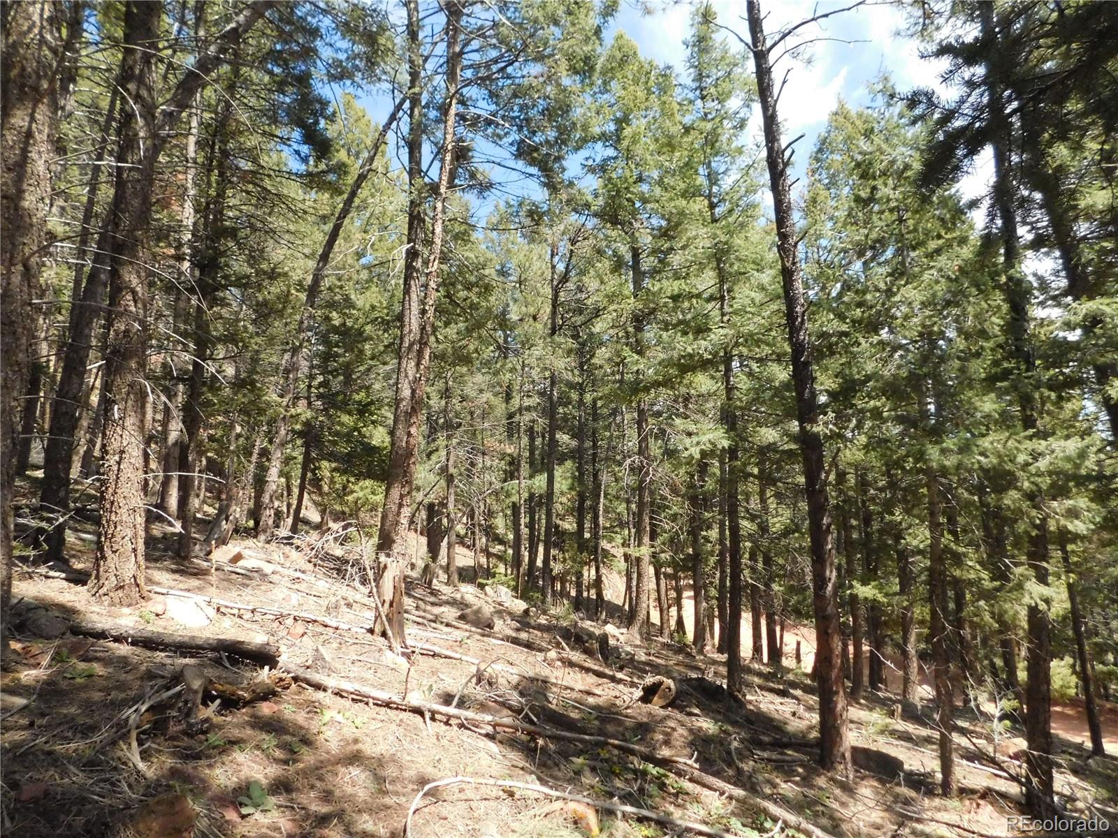 13520 Woodmoor West Drive Larkspur CO 80118
