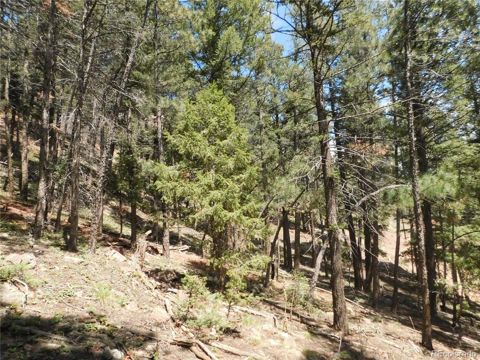 13520 Woodmoor West Drive Larkspur CO 80118