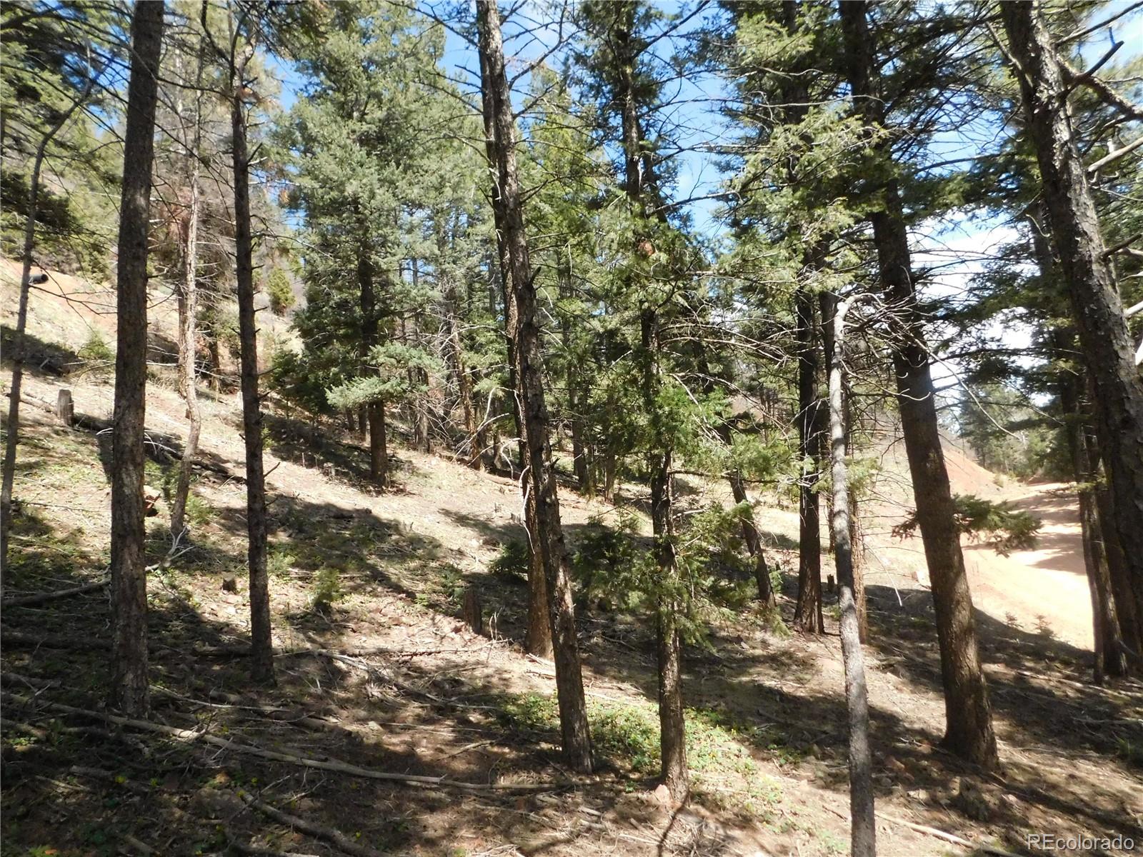 13520 Woodmoor West Drive Larkspur CO 80118