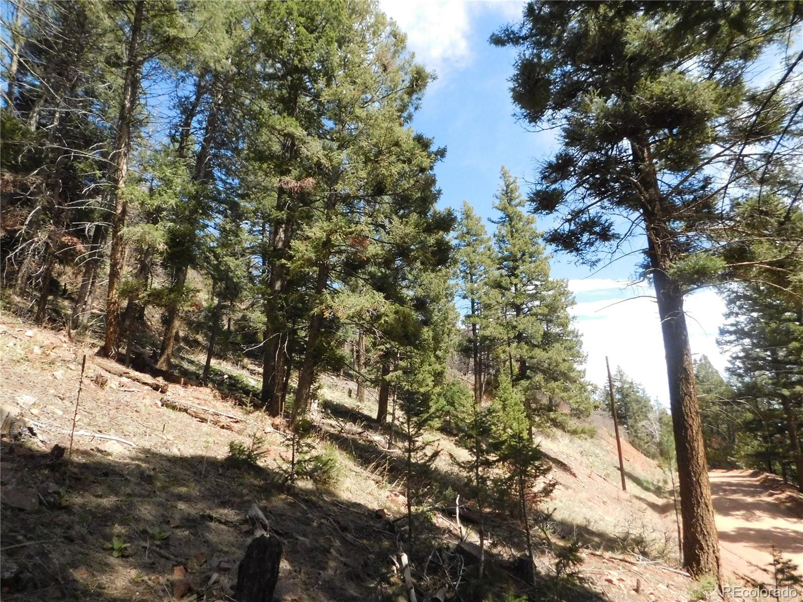 13520 Woodmoor West Drive Larkspur CO 80118