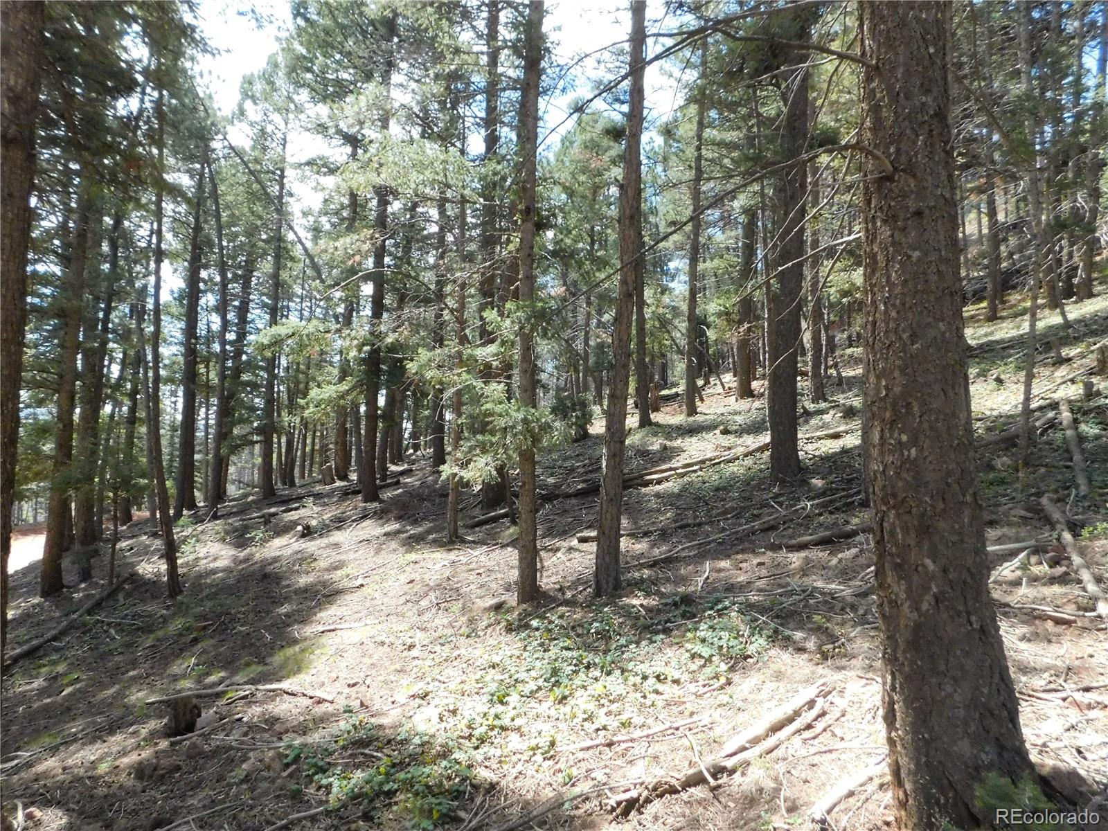 13520 Woodmoor West Drive Larkspur CO 80118