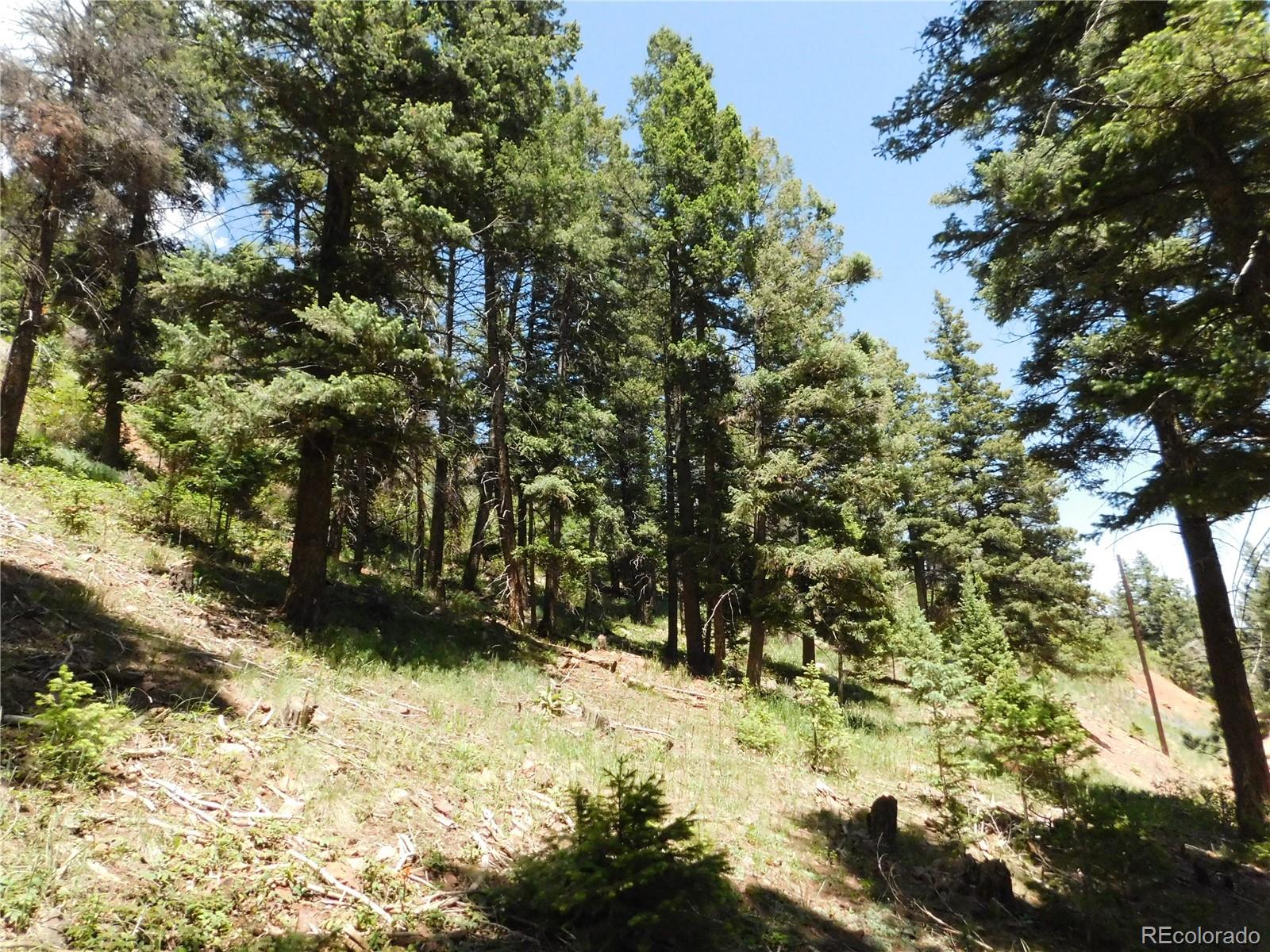 13520 Woodmoor West Drive Larkspur CO 80118