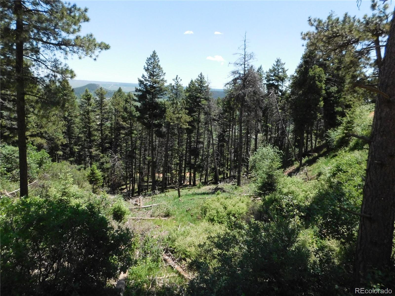 13520 Woodmoor West Drive Larkspur CO 80118