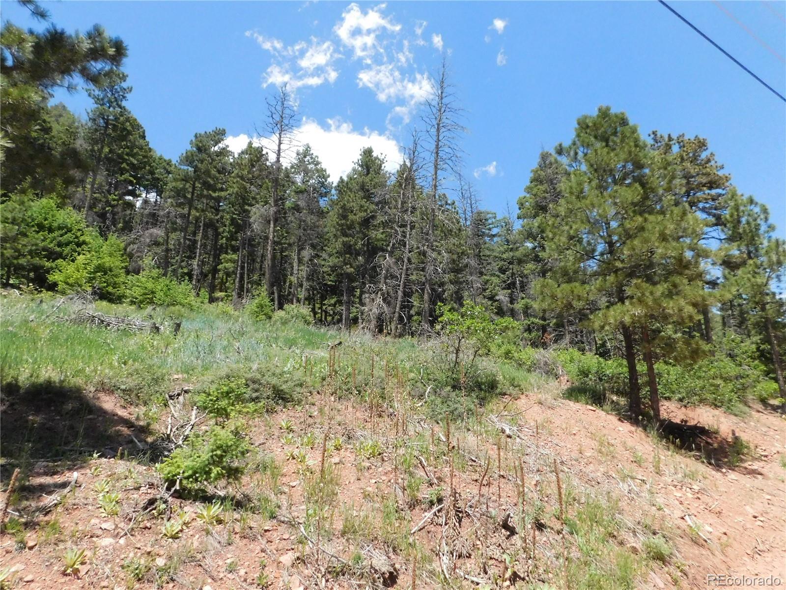 13520 Woodmoor West Drive Larkspur CO 80118