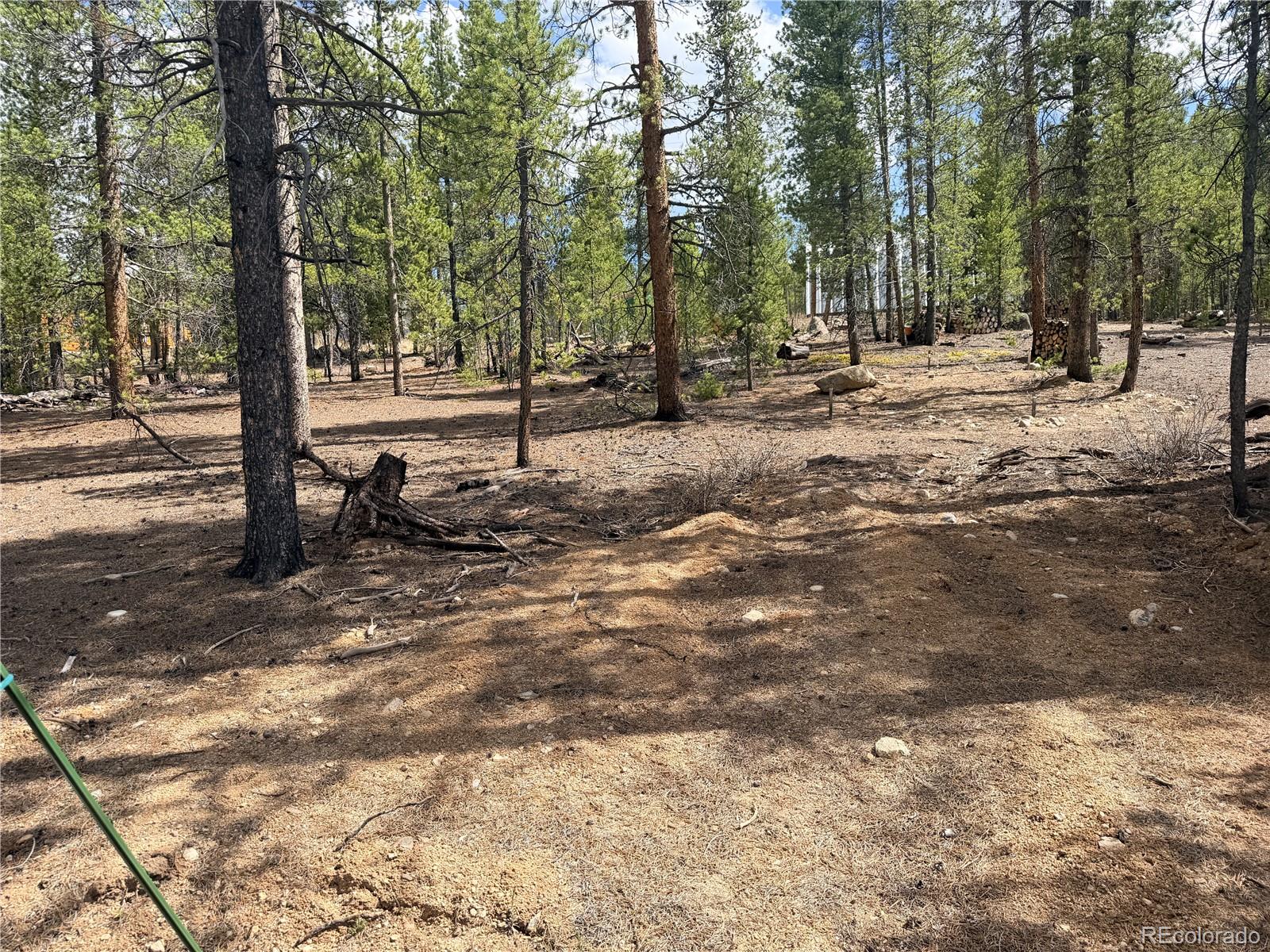 198 Juniper Drive Twin Lakes CO 81251