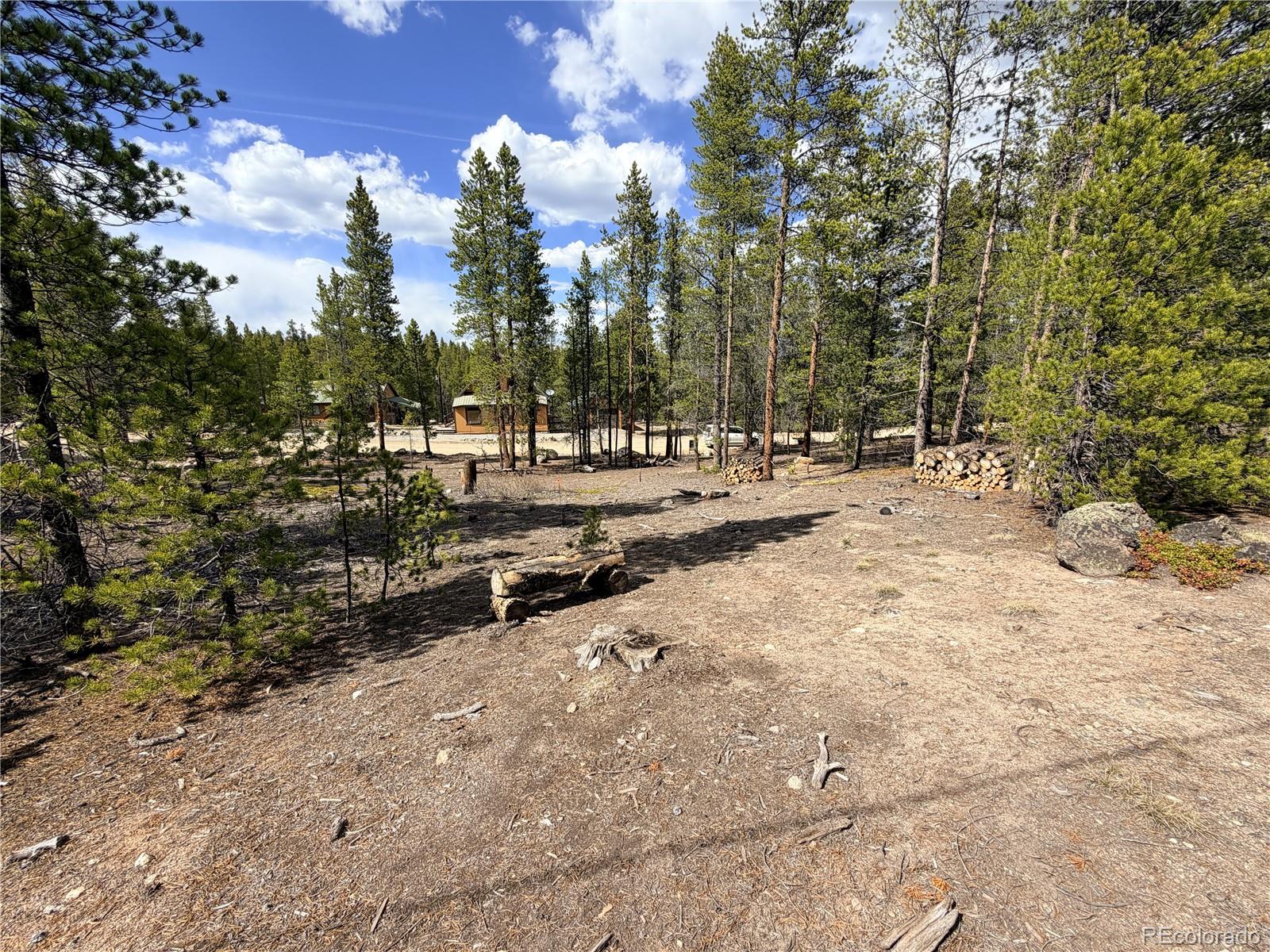198 Juniper Drive Twin Lakes CO 81251
