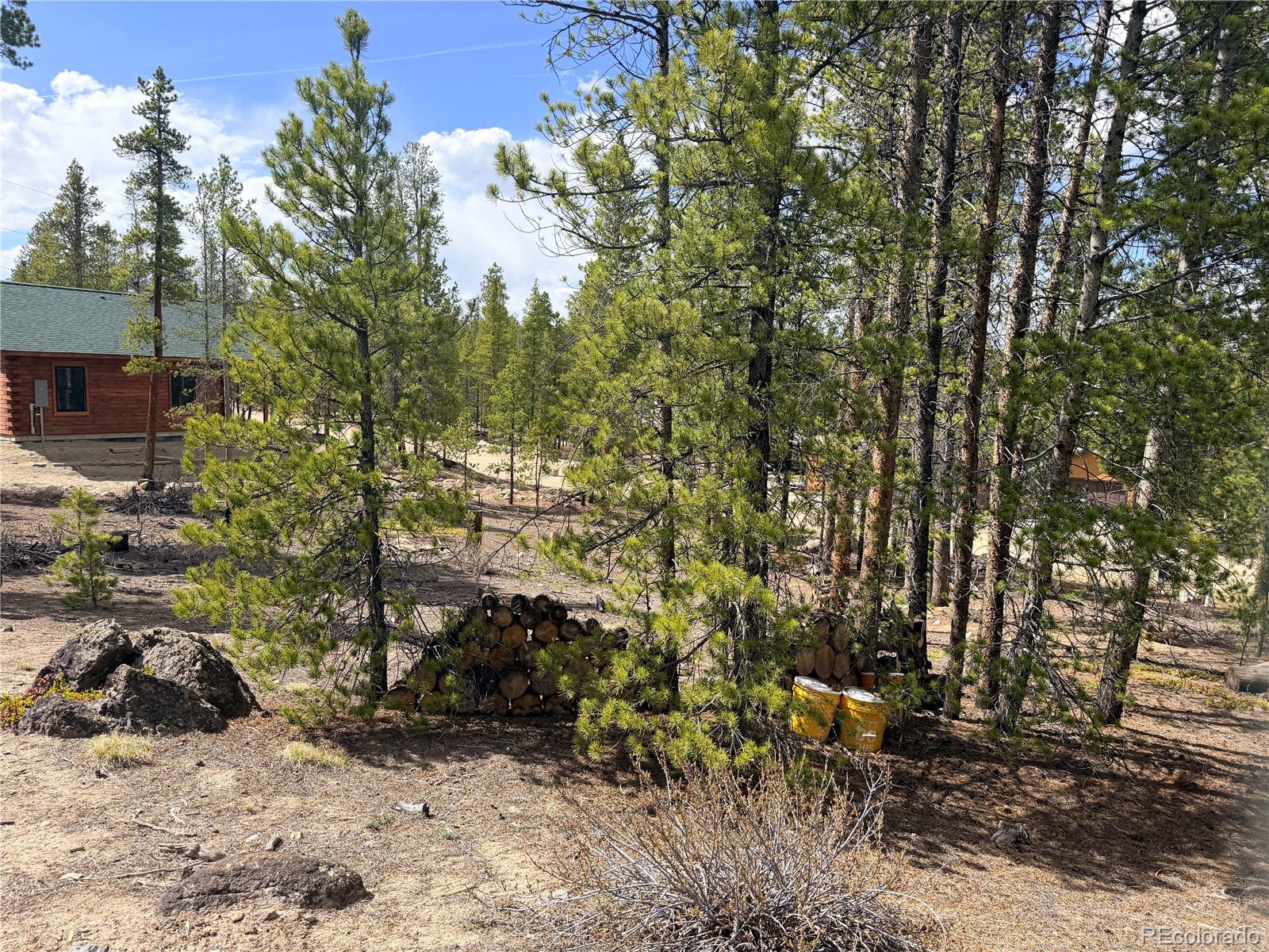 198 Juniper Drive Twin Lakes CO 81251