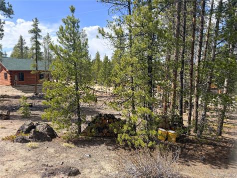 198 Juniper Drive Twin Lakes CO 81251
