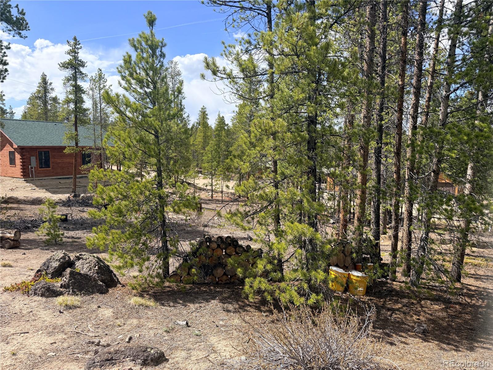 198 Juniper Drive Twin Lakes CO 81251