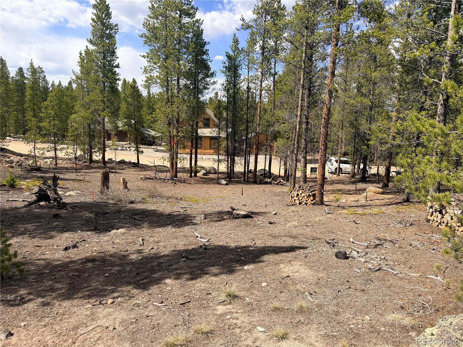 198 Juniper Drive Twin Lakes CO 81251