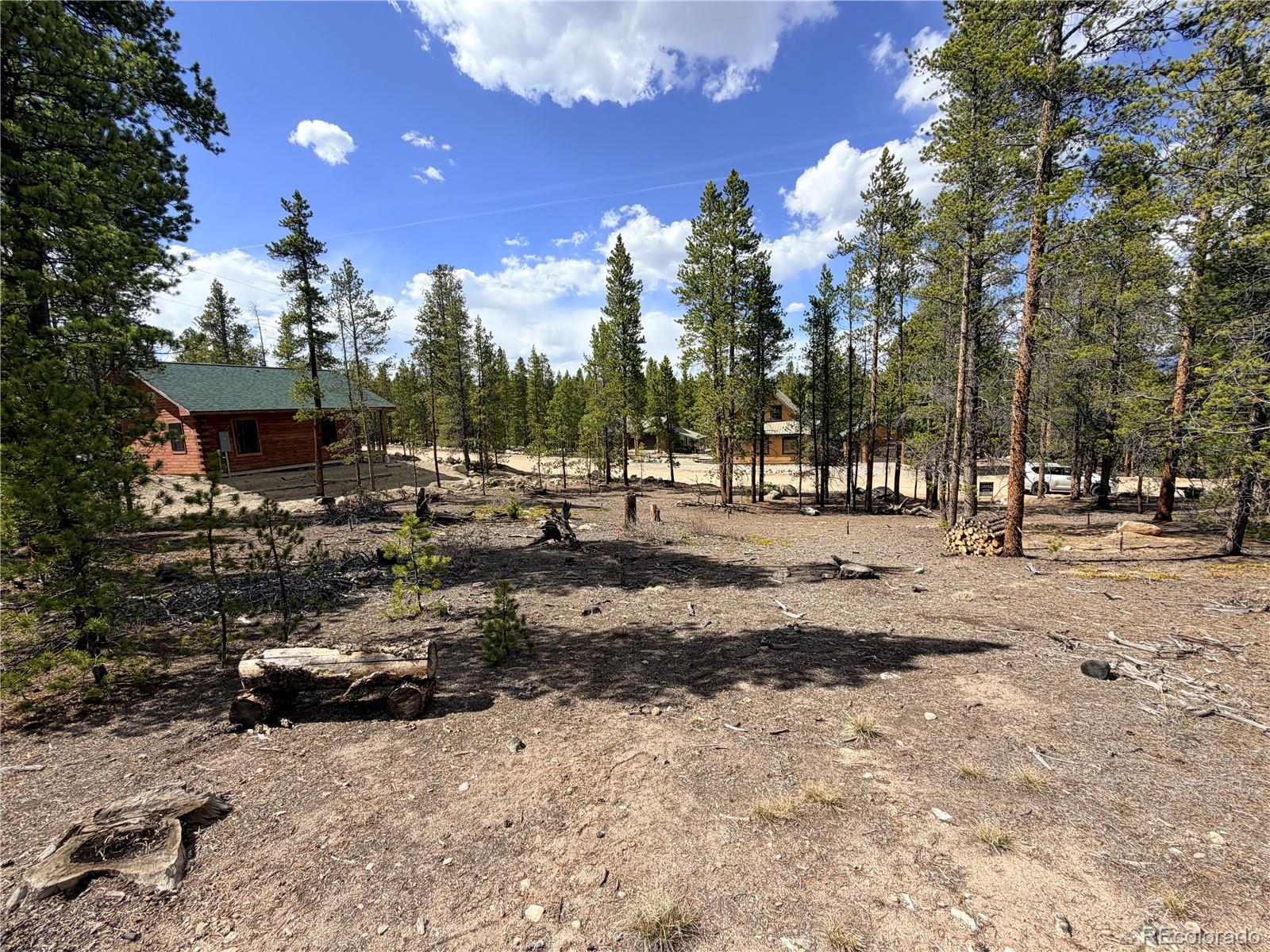 198 Juniper Drive Twin Lakes CO 81251