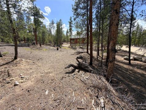 198 Juniper Drive Twin Lakes CO 81251