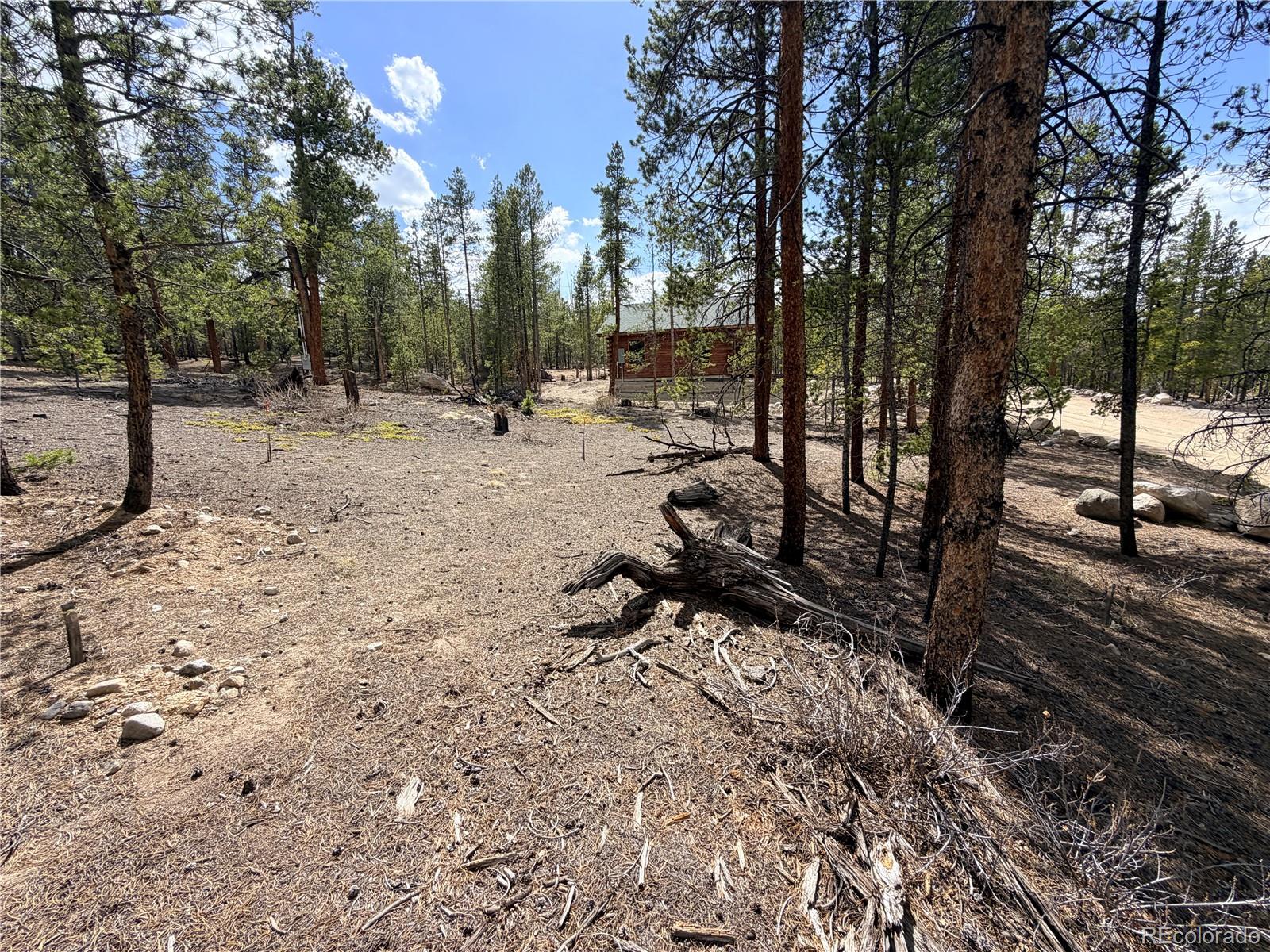 198 Juniper Drive Twin Lakes CO 81251