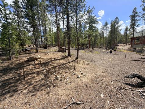 198 Juniper Drive Twin Lakes CO 81251