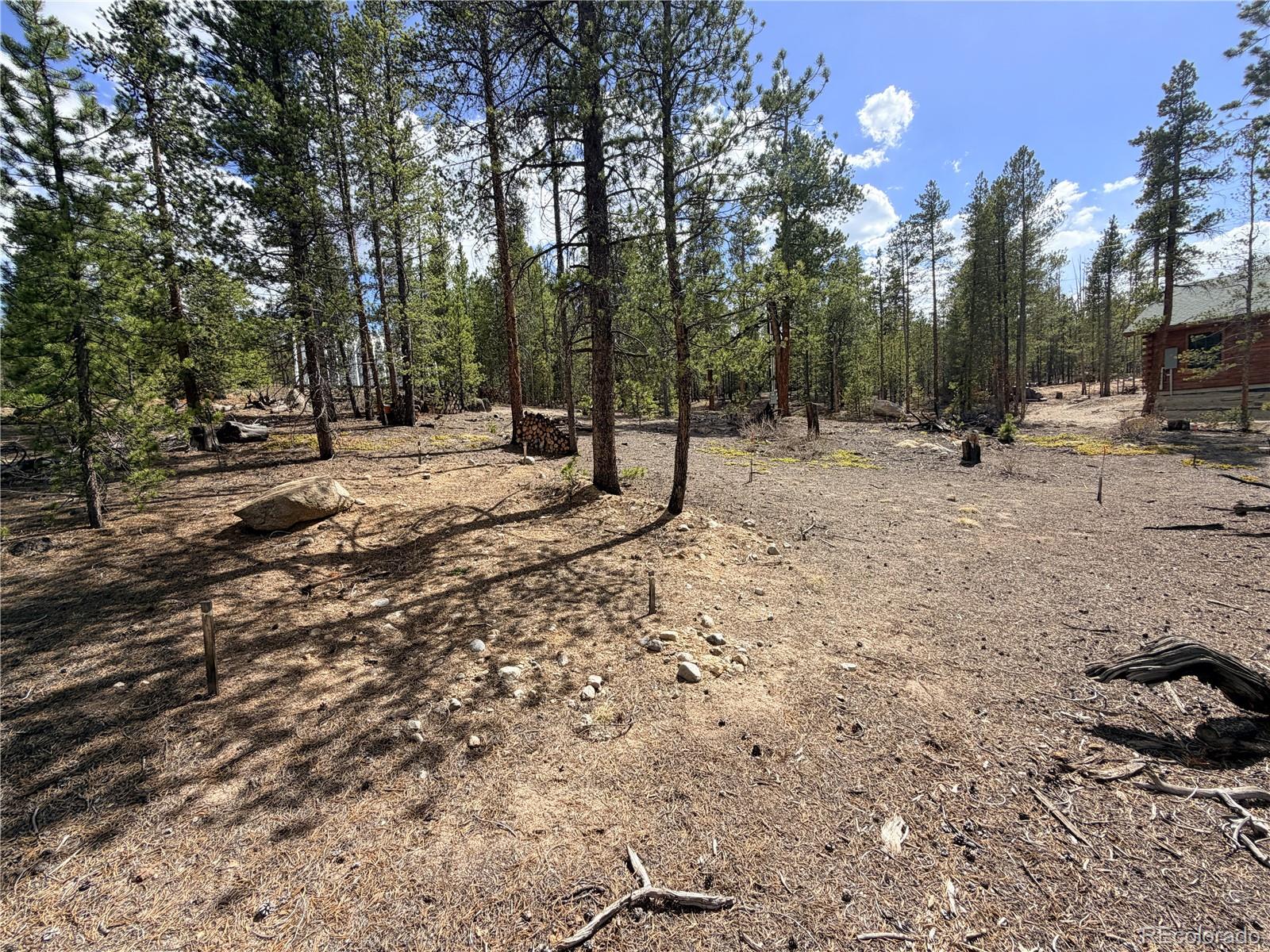 198 Juniper Drive Twin Lakes CO 81251