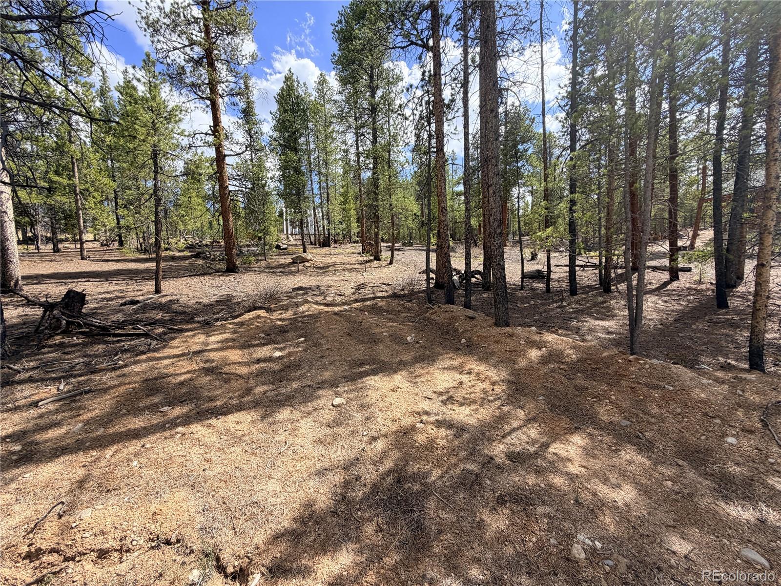 198 Juniper Drive Twin Lakes CO 81251