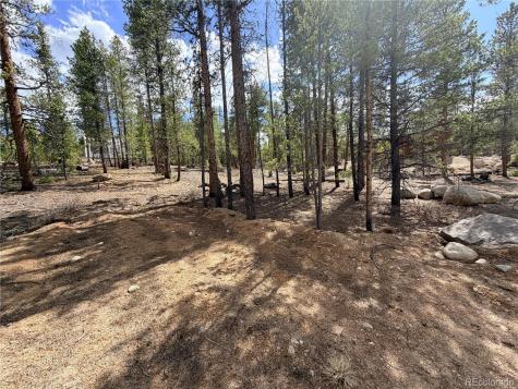198 Juniper Drive Twin Lakes CO 81251