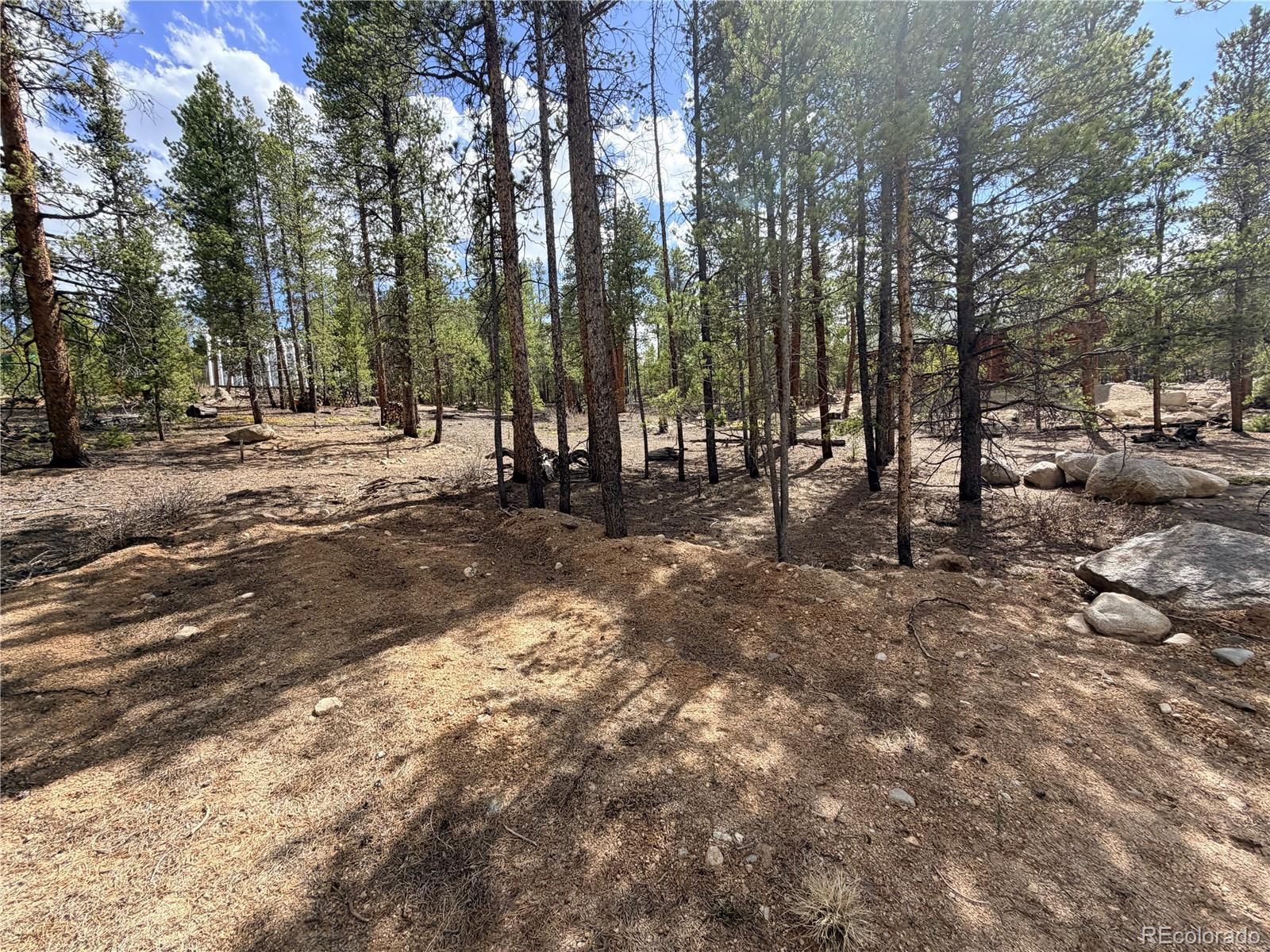 198 Juniper Drive Twin Lakes CO 81251