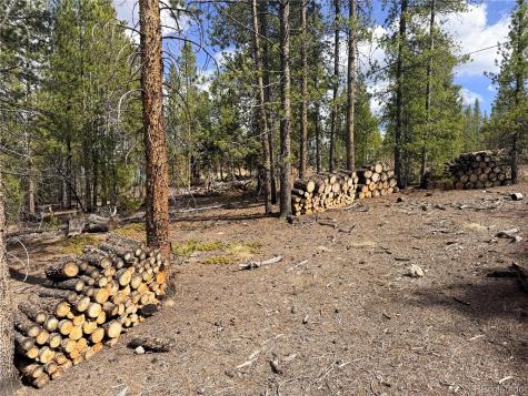 198 Juniper Drive Twin Lakes CO 81251