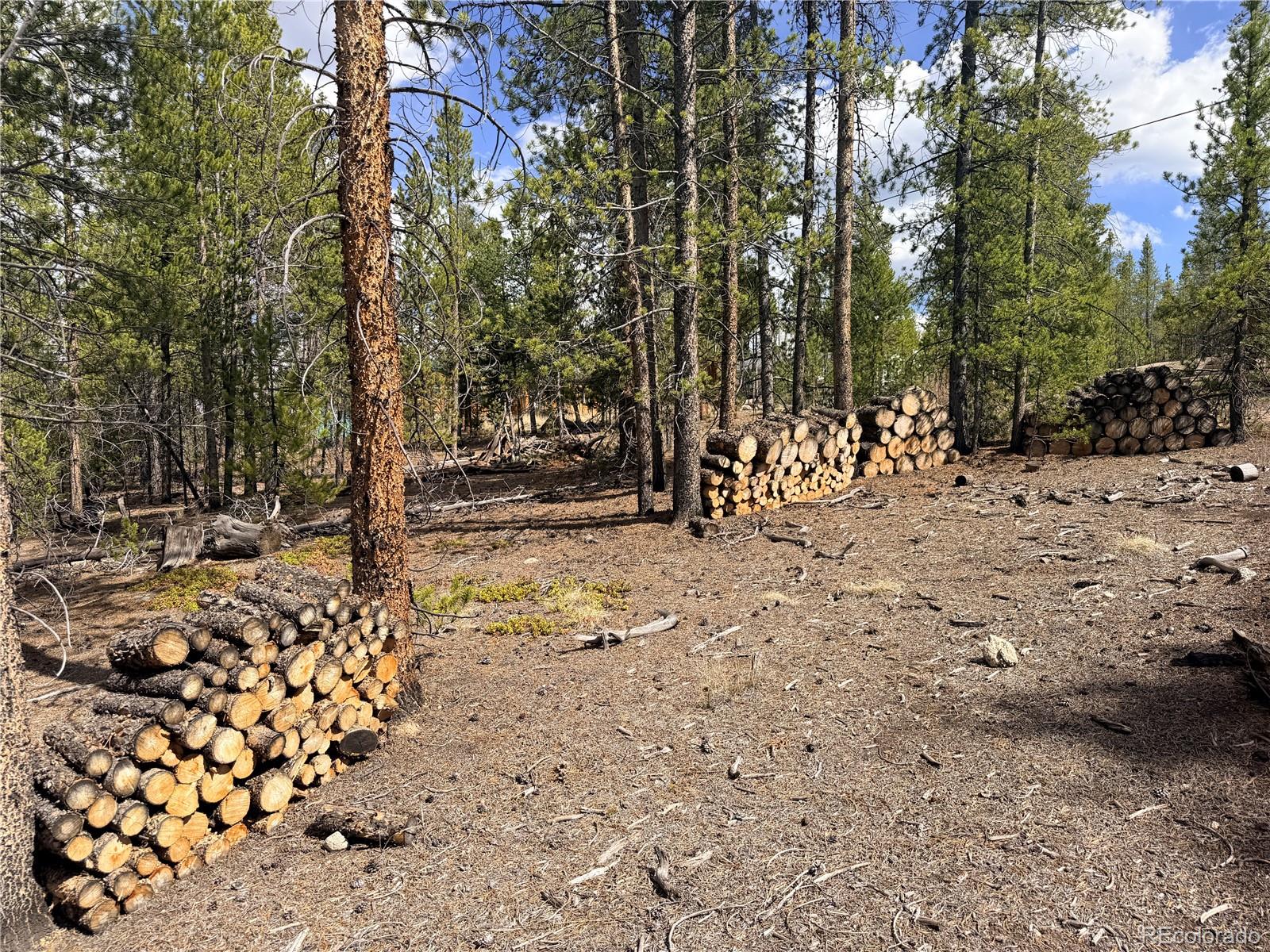 198 Juniper Drive Twin Lakes CO 81251