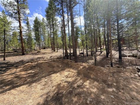 198 Juniper Drive Twin Lakes CO 81251