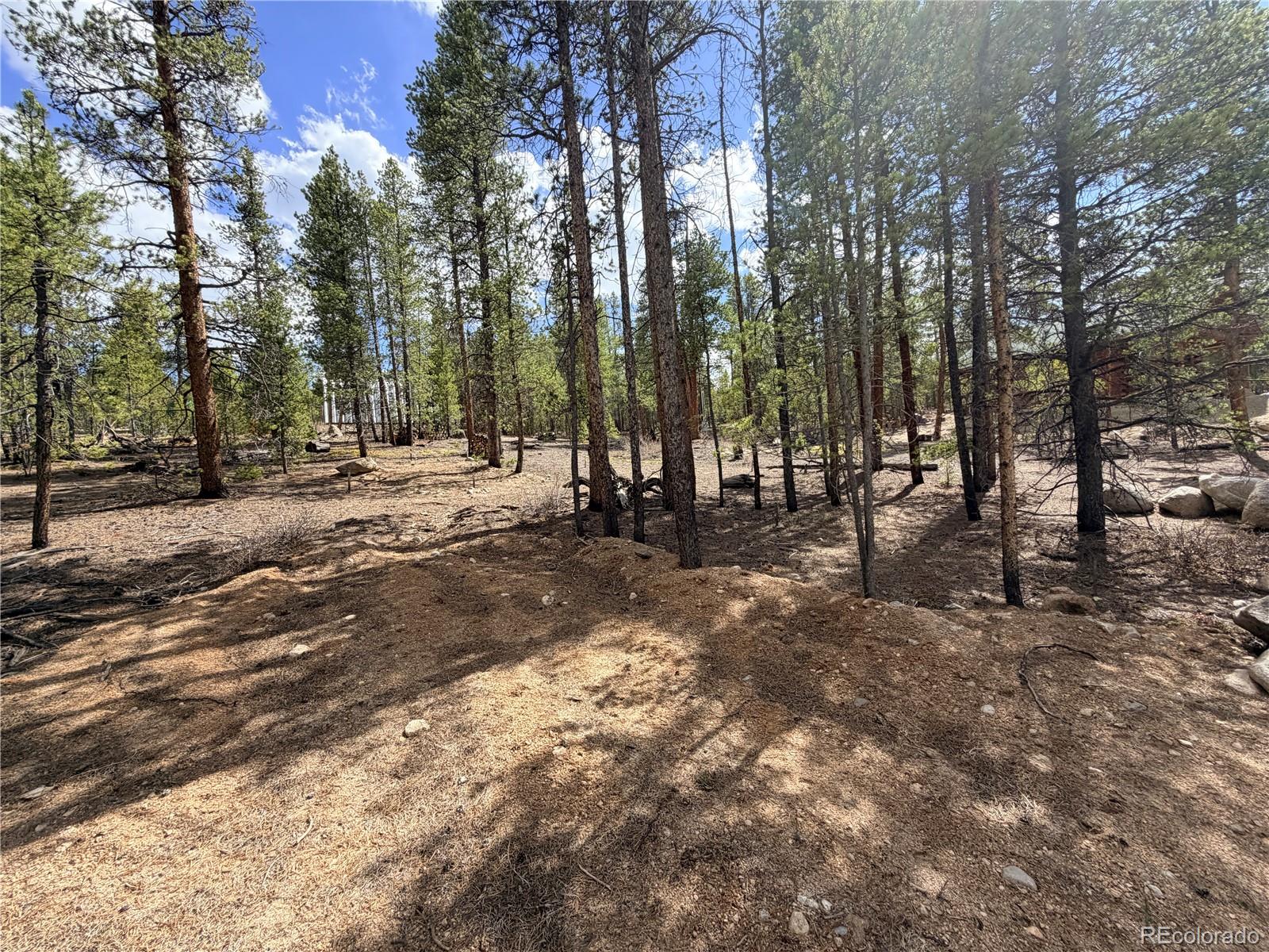 198 Juniper Drive Twin Lakes CO 81251